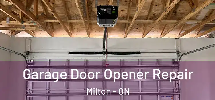  Garage Door Opener Repair Milton - ON