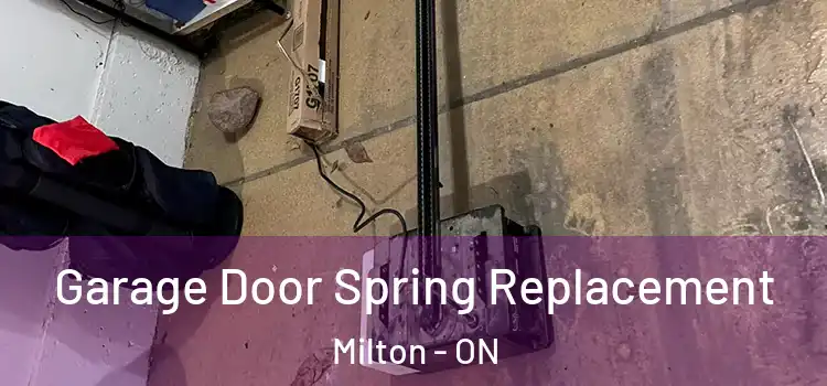  Garage Door Spring Replacement Milton - ON