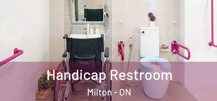 Handicap Restroom Milton - ON